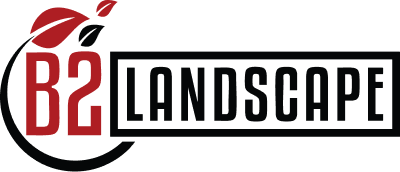 B2 Landscape